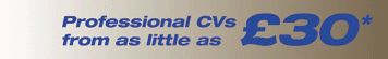 Professional CVs from as little as &pound;30*